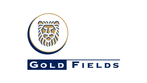 goldfields.com_.png