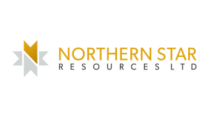 nsrltd.com_.png